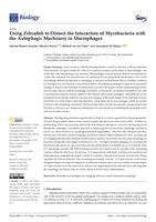 Using zebrafish to dissect the interaction of mycobacteria with the autophagic machinery in macrophages