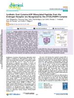 Synthetic dual cysteine-ADP ribosylated peptides from the androgen receptor are recognized by the DTX3L/PARP9 complex