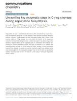 Unravelling key enzymatic steps in C-ring cleavage during angucycline biosynthesis