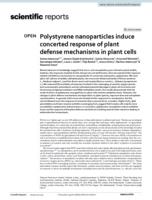 Polystyrene nanoparticles induce concerted response of plant defense mechanisms in plant cells