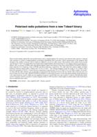 Polarised radio pulsations from a new T-dwarf binary