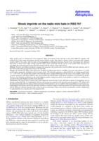 Shock imprints on the radio mini halo in RBS 797