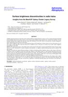 Surface brightness discontinuities in radio halos