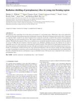 Radiation shielding of protoplanetary discs in young star-forming regions