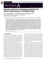 Quantum detector tomography applied to the human visual system