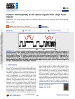 Dynamic heterogeneity in the optical signals from single nano-objects