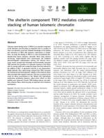 The shelterin component TRF2 mediates columnar stacking of human telomeric chromatin