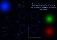 Design and synthesis of metal-based chemotherapeutic agents for targeted DNA interactions or DNA repair pathway modulation