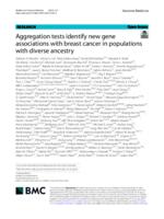 Aggregation tests identify new gene associations with breast cancer in populations with diverse ancestry