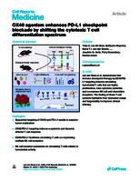 OX40 agonism enhances PD-L1 checkpoint blockade by shifting the cytotoxic T cell differentiation spectrum