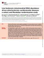 Low leukocyte mitochondrial DNA abundance drives atherosclerotic cardiovascular diseases