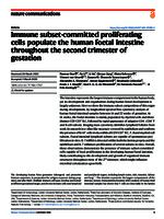 Immune subset-committed proliferating cells populate the human foetal intestine throughout the second trimester of gestation