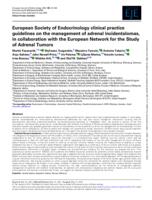 European Society of Endocrinology clinical practice guidelines on the management of adrenal incidentalomas, in collaboration with the European Network for the Study of Adrenal Tumors