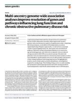 Multi-ancestry genome-wide association analyses improve resolution of genes and pathways influencing lung function and chronic obstructive pulmonary disease risk