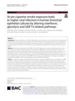 Acute cigarette smoke exposure leads to higher viral infection in human bronchial epithelial cultures by altering interferon, glycolysis and GDF15-related pathways