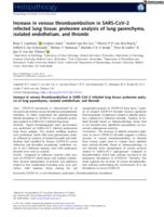 Increase in venous thromboembolism in SARS-CoV-2 infected lung tissue: proteome analysis of lung parenchyma, isolated endothelium, and thrombi