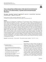 Stress-induced neuroinflammation of the spinal cord is restrained by Cort113176 (Dazucorilant)