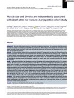 Muscle size and density are independently associated with death after hip fracture