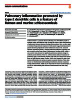 Pulmonary inflammation promoted by type-2 dendritic cells is a feature of human and murine schistosomiasis