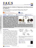 Molecular basis for inhibition of heparanases and β-glucuronidases by siastatin B