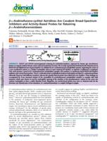 β-l-arabinofurano-cyclitol aziridines are covalent broad-spectrum inhibitors and activity-based probes for retaining β-l-arabinofuranosidases