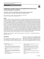Angiography and optical coherence tomography derived shear stress