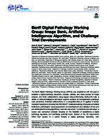 Banff Digital Pathology Working Group: image bank, artificial intelligence algorithm, and challenge trial developments