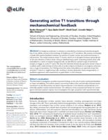 Generating active T1 transitions through mechanochemical feedback