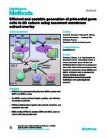Efficient and scalable generation of primordial germ cells in 2D culture using basement membrane extract overlay