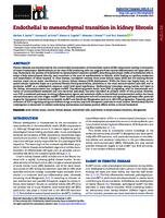 Endothelial to mesenchymal transition in kidney fibrosis