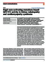 RagD auto-activating mutations impair MiT/TFE activity in kidney tubulopathy and cardiomyopathy syndrome