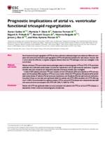Prognostic implications of atrial vs. ventricular functional tricuspid regurgitation