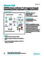 CMTM6 shapes antitumor T cell response through modulating protein expression of CD58 and PD-L1