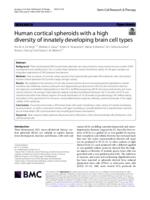 Human cortical spheroids with a high diversity of innately developing brain cell types