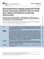 Electroanatomical mapping-guided left bundle branch area pacing in patients with structural heart disease and advanced conduction abnormalities