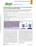 Chemical control over T-cell activation in vivo using deprotection of trans-cyclooctene-modified epitopes