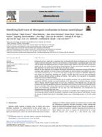 Identifying lipid traces of atherogenic mechanisms in human carotid plaque