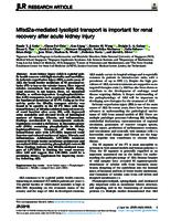 Mfsd2a-mediated lysolipid transport is important for renal recovery after acute kidney injury