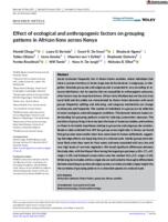 Effect of ecological and anthropogenic factors on grouping patterns in African lions across Kenya