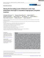 Piecing the barcoding puzzle of Palearctic water frogs (Pelophylax) sheds light on amphibian biogeography and global invasions