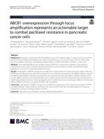 ABCB1 overexpression through locus amplification represents an actionable target to combat paclitaxel resistance in pancreatic cancer cells