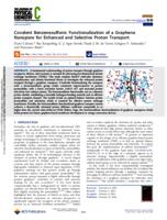 Covalent benzenesulfonic functionalization of a graphene nanopore for enhanced and selective proton transport