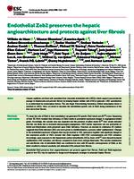 Endothelial Zeb2 preserves the hepatic angioarchitecture and protects against liver fibrosis