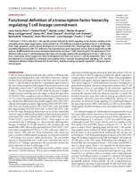 Functional definition of a transcription factor hierarchy regulating T cell lineage commitment