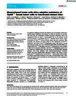 Mesenchymal tumor cells drive adaptive resistance of Trp53 -/- breast tumor cells to inactivated mutant Kras