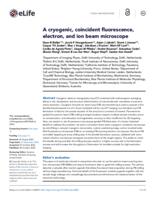 A cryogenic, coincident fluorescence, electron, and ion beam microscope