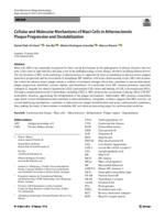 Cellular and molecular mechanisms of mast cells in atherosclerotic plaque progression and destabilization