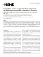 Competition for iron shapes metabolic antagonism between Bacillus subtilis and Pseudomonas marginalis