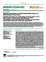 Discordant staining patterns and microsatellite results in tumors of MSH6 pathogenic variant carriers