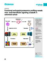 Functional and spatial proteomics profiling reveals intra- and intercellular signaling crosstalk in colorectal cancer